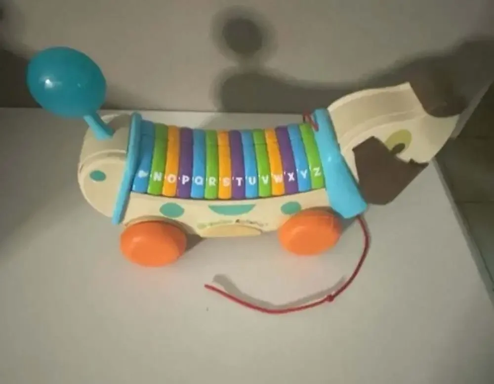 LeapFrog Wooden AlphaPup Pull-Along Alphabet Dog